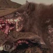 National Geographic Documentary Prehistoric Predators Wildlife Animals