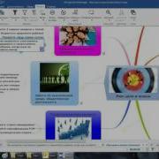MindJet MindManager 10 шагов к результату 4 урок