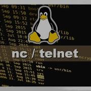 Comandos Essenciais Para Administração De Servidores Linux Netcat Nc Telnet