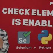 Selenium WebDriver With Python Tutorial 24 How To Check If Element Is Enabled