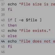 EP010 MacOS Linux Bash Scripting File Operations