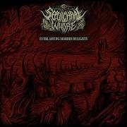 Necromancer S Rites
