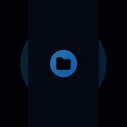 DraStic Storage Access On Android 11