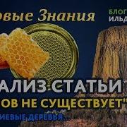 Анализ статьи на Земле лесов нет О кремниевых деревьях