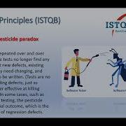 7 Testing Principles