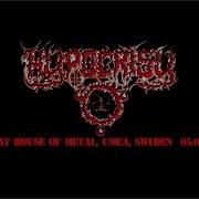 Hypocrisy Live At House Of Metal Umea Sweden 05 03 2010 Full Gig