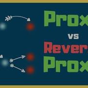 Proxy Vs Reverse Proxy Server Explained