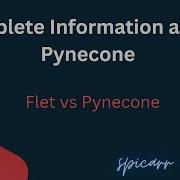Complete Information About PyneCone Python Flet Vs PyneCone