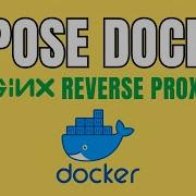 Как я подключаю свой Docker контейнер через обратный прокси сервер Nginx