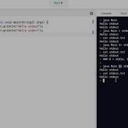 Java Programming Skills Using Replit Stdin Stdout Stderr