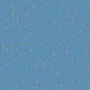 Winter Scene With Pygame
