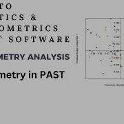 30 Allometry In PAST Software