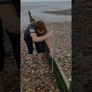 GCSE Geography Fieldwork Techniques Groyne Profile