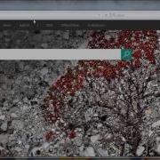 How To Use Selenium IDE On Firefox For Recording And Testing Browsing History