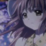 BBS First Mep Firework