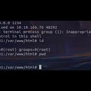 PHP 8 1 0 Dev User Agentt RCE With Burp Suite