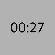Professional 27 Second Timer