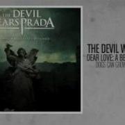 The Devil Wears Prada Dogs Can Grow Beards All Over