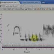 Spectrograms