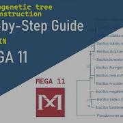 How To Construct A Phylogenetic Tree In MEGA 11 A Step By Step Guide