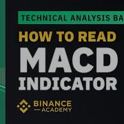How To Read MACD Indicator Explained For Beginners