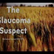 Glaucoma Suspect