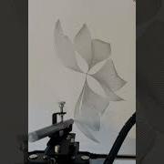 Floral Flow Timelapse Penplotter Generativeartist