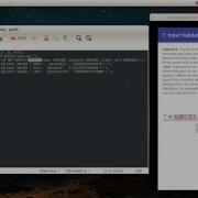 Diva Input Validation Issues Part 1