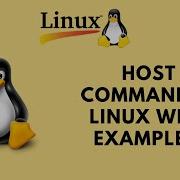 Host Command In Linux With Examples Linux Command Line Basics Tutorials