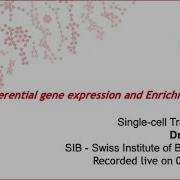 Single Cell Transcriptomics Differential Gene Expression And Enrichment Analysis 8 Of 10