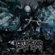 Belphegor Stigma Diabolicum