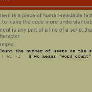 Comments Shell Scripting 11