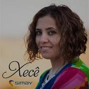 Leylaye