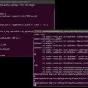 Visualizing Sorts Using Scala