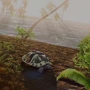 The Power Of CryEngine 2 Crysis Ultimate Photoreal 2013 HD