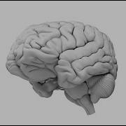 Test Your Memory With This Game From Johns Hopkins