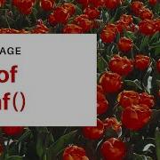 Use Of Scanf Function In C Language