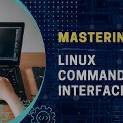 Mastering The Linux Command Line Interface CLI A Beginner S Guide Part 1