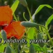 Gul Acdi KARAOKE AZERBAYCAN Xalq Mahnisi