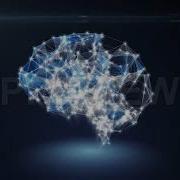 AI Plexus Brain Stock Motion Graphics