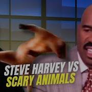 Steve Harvey S Worst Nightmare SCARY ANIMALS
