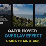 Css Card Hover Effects Html Css Card Animation Html Css