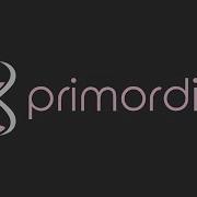 First Day With Primordial Dev