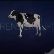 Cow Error 118 Logo