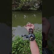 Fishing Like Spider Man Web Shooter Rod In Action
