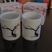 Our First Mug The Cherry Blossom Morph Mug