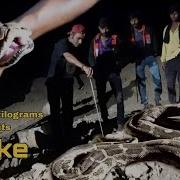 The Largest Snake Of India Indian Rock Python અજગર Animal Rescue