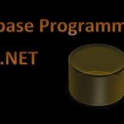 Databases And VB Net Tutorial 07 Access DataTables Rows And Fields Programmatically Part 1