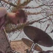 Muse Drum Talk Making Of Absolution