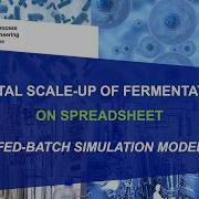 Digital Scale Up Of Microbial Fermentation On Spreadsheet Fed Batch Simulation Model
